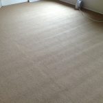 Newly Installed Carpeting & Roll-Crush